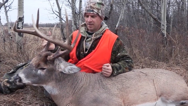 Roger's Alberta Buck - Moment of Truth TV (Whitetail Madness 2020)