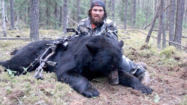 Dylan's Monster Alberta Black Bear