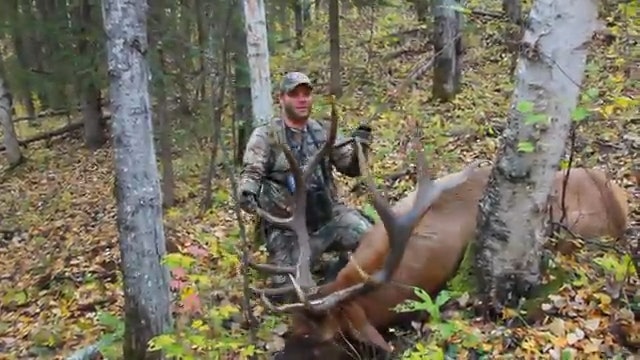 Jordan's Massive 6x6 Bull Elk