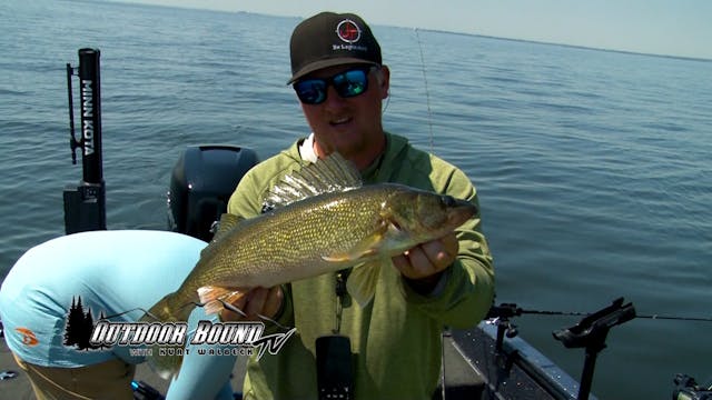 Bottom Bouncer and Spinner Walleye
