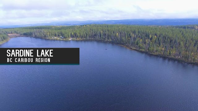 Caribou Area Lake, BC - Part 2