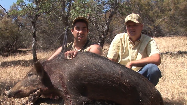 California Hog Hunt