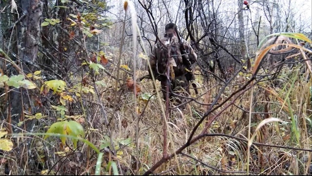 Trail Breaker- BC Moose Hunt