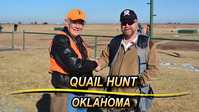 Oklahoma Quail Hunting