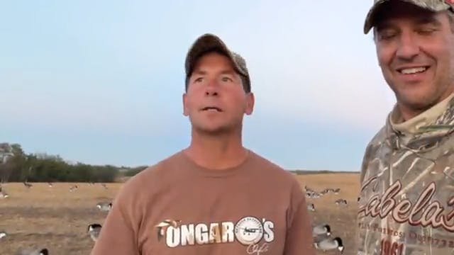 100 Degree Honkers | Hired to Hunt Du...
