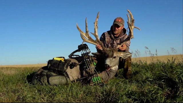 Saskatchewan Spot & Stalk Mule Deer