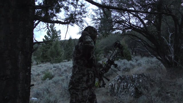 Novice Archery Elk Hunt