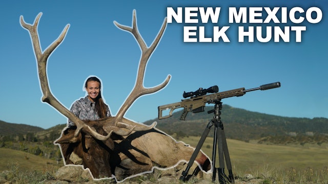 Intense Spot and Stalk Elk Hunt!
