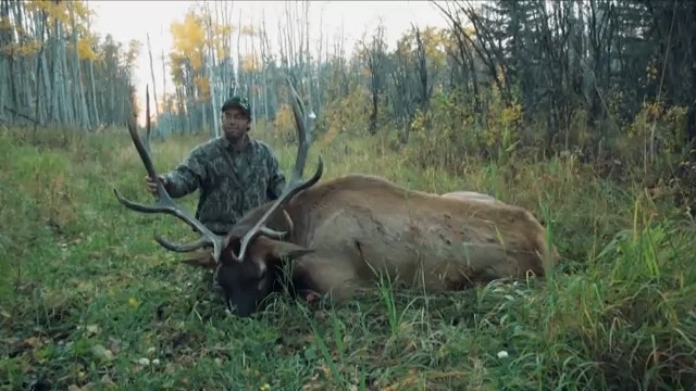 Joel's Alberta Elk