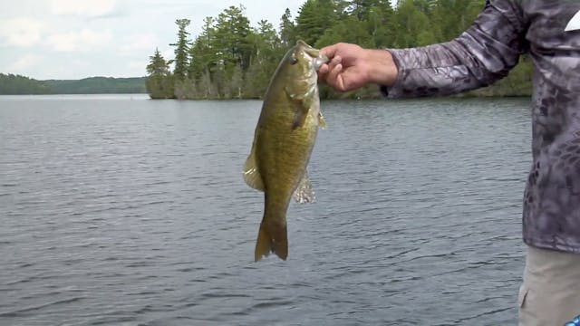 Long Cast Bass & Finding Fish in the ...