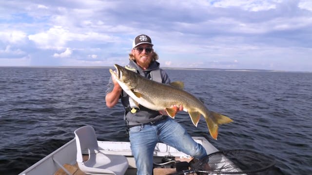 Giant Lake Trout in NWT