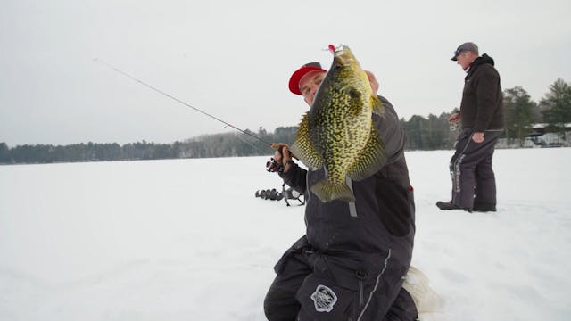 Giant Slab Rap Eating Crappies