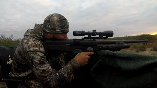 Air Bows and Air Guns For Hunting