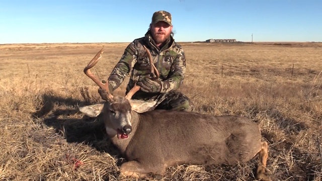 Hunting Mule Deer - Part 2