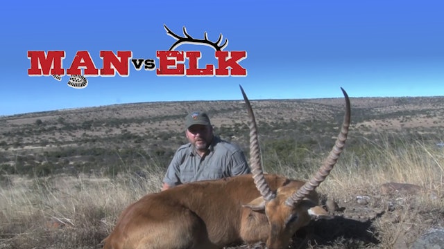Man vs Elk