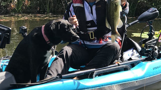 Kayaking Bass, Pike & Saltwater Trout