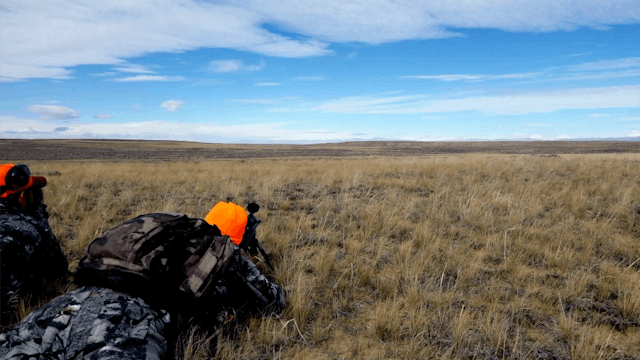 Wyoming Mule Deer & Antelope - Part 2