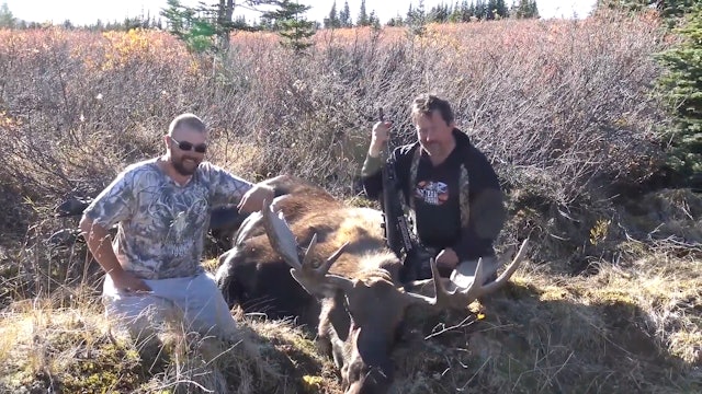 Two Moose: From One End of Canada to the Other