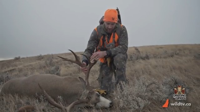 Eric's Chocolate-Horned Muley