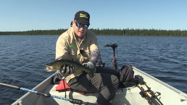 Jig and Spinners for Northern Walleye