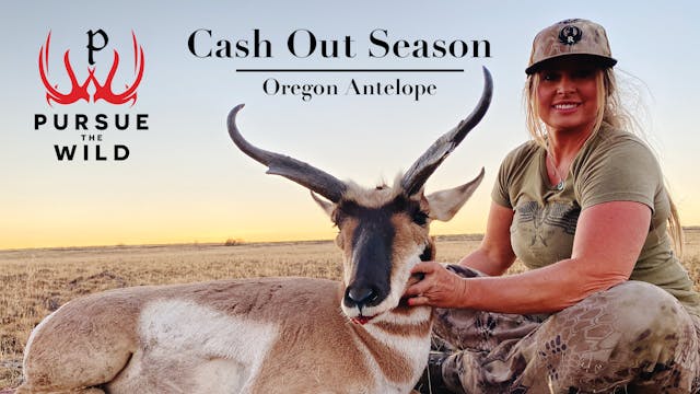 Cash Out Season - Oregon Antelope