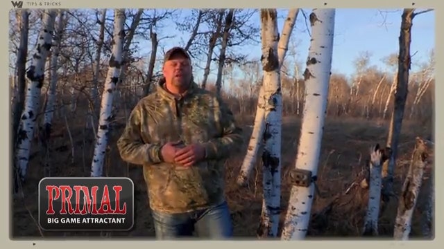 How To Use Trail Cams To Pattern a Buck