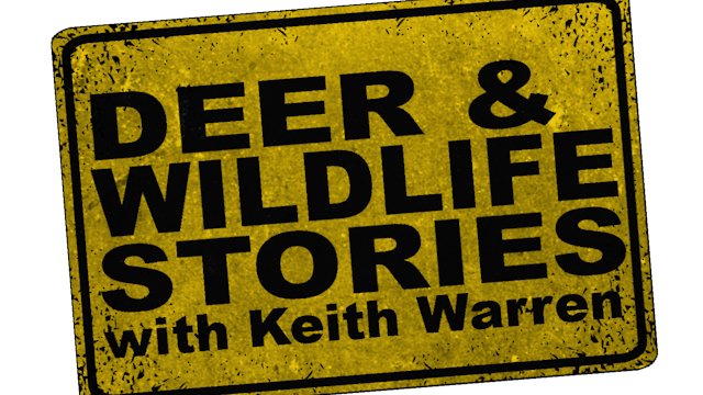 Deer & Wildlife Stories