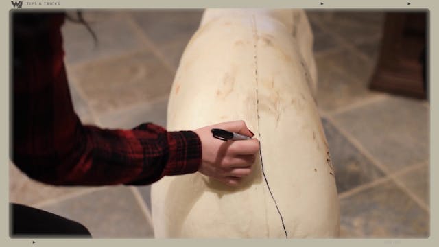 Skinning a Bear for a Life-Sized Mount