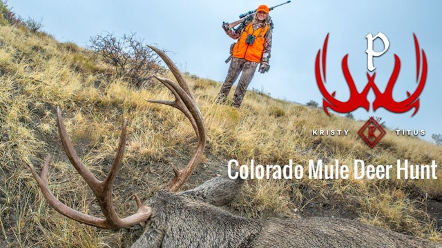 Return to the Raton Mesa Mule Deer Hunt