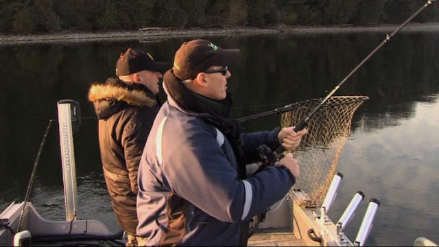 Live Target Walleye, Floats and Divers