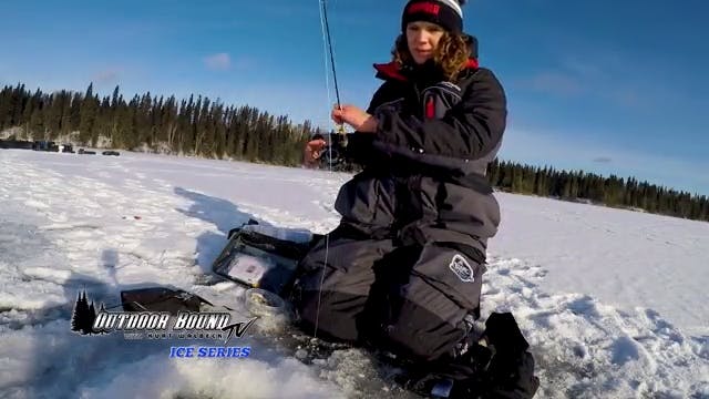 Walleyes on a Dead Stick & Spoon Fed Walleye - ICE Fishing