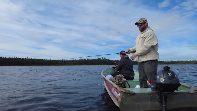Bear Baiting, Bear Hunting & a Fly In Fishing Trip