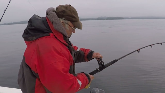 Fishing the North Islands - Wild TV+