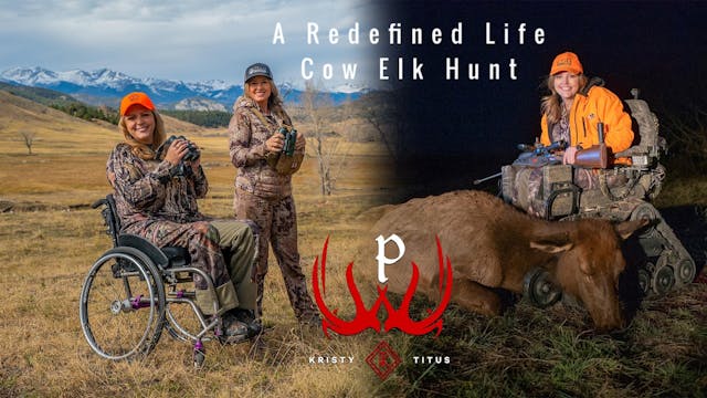 A Redefined Life Cow Elk Hunt