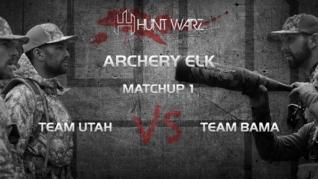 Match Up 1: Archery Elk (1 of 4)