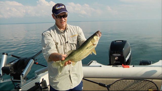 Baitball Walleye & Zombie Pike