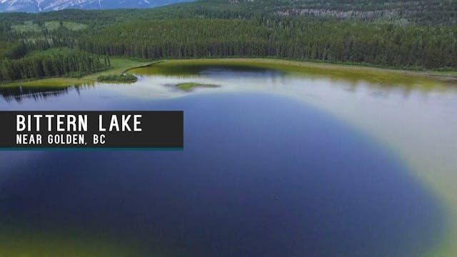 Mitten/Bittern Lake, BC