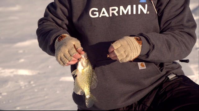 Electronics for Ice Fishing PanFish a...