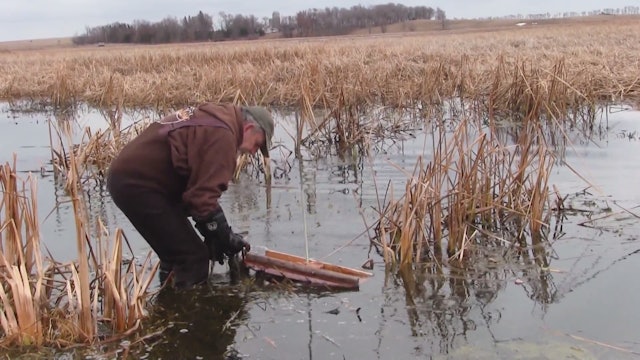 Float Trapping Muskrats in South Dakota - Part 1