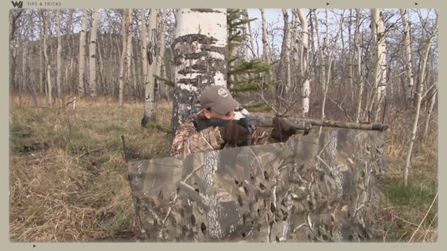 Do This Before Settling Into Your Turkey Blind