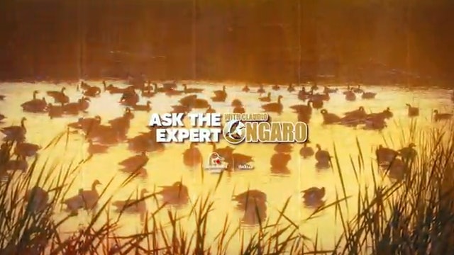 Ducks Unlimited Ask The Expert - Claudio Ongaro