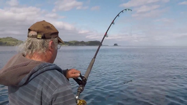 Fishing the North Islands