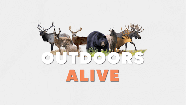 Outdoors Alive