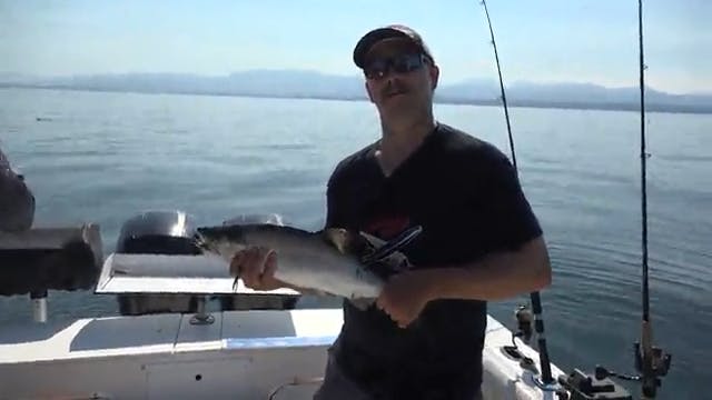 Salmon and BuzzBomb Tackle