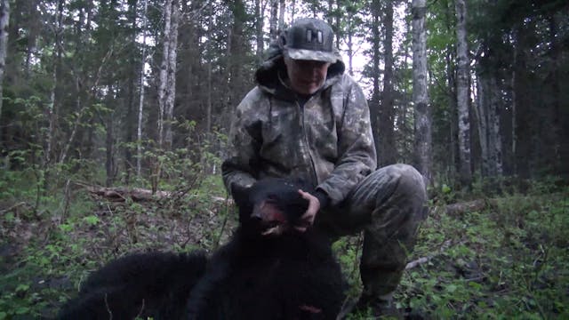 New Brunswick Bear Hunt - Part 2