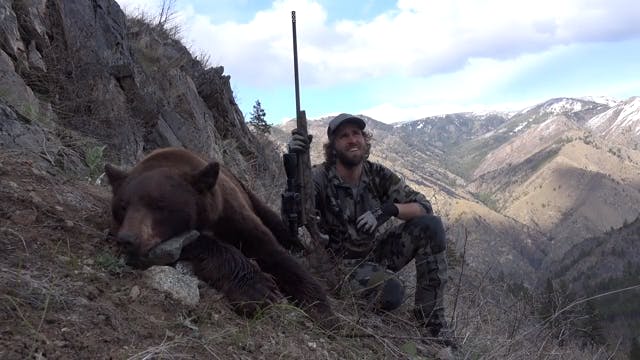 Epic Solo Bear Hunt