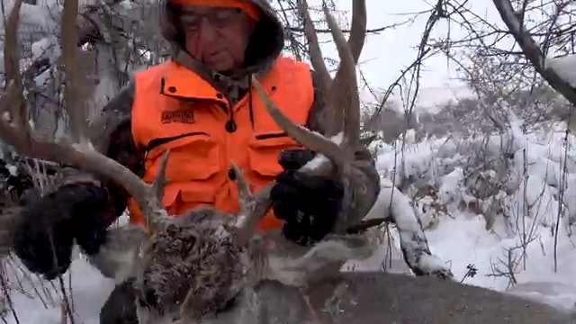 The Saskatchewan Blizzard Buck