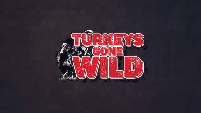 Turkeys Gone Wild 2023
