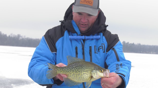Early Ice Crappie