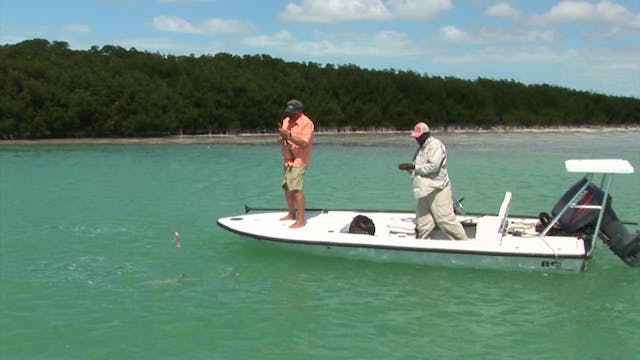 Bahama Black Fin Shark & Paddle Board...